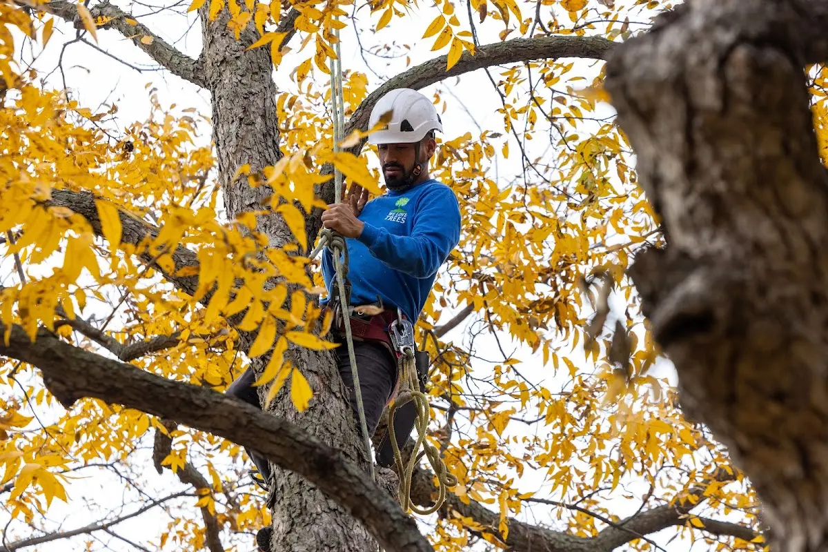 Skilled Storm Damage Cleanup crew working in Waubun